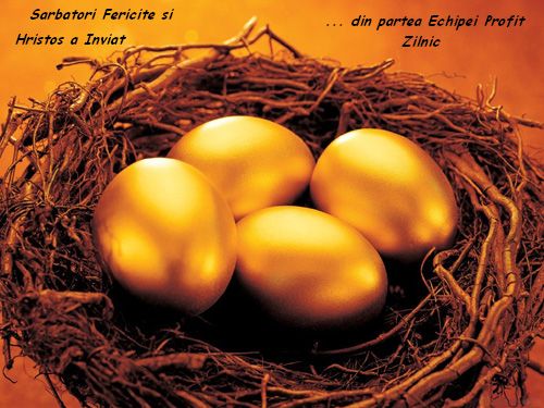 golden eggs - I can say that this basket with golden eggs is myLot...