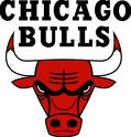 Chicago Bulls Logo - I wear my t-shirts proudly.