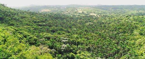 A valley in Cuba - A valley in Cuba, there is so much to see I don't know how I'll see it all
