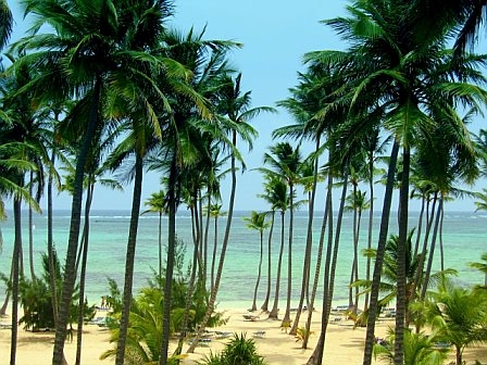 A more touristy beach in Cuba - A more touristy beach in Cuba, lots of palms and white sandy beaches
