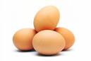 eggs - The egg is the reproduction method for all vertebrate except the mammals.