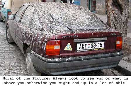 Is that victra.......... - Check that out.... This is a new color of victra