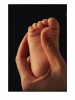 Mothering - motherly love