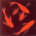Fishes - Itty Bitty Fishes