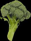 BroccoliBroccoli - Broccoli Broccoli Broccoli
