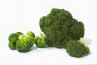 BroccoliBroccoliBroccoli - Broccoli Broccoli Broccoli Broccoli