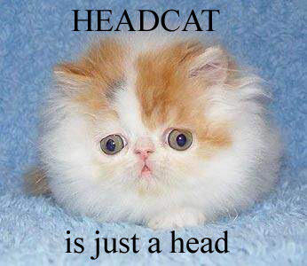 Funny Cat Meme - Funny cat photo with caption called a cat meme. This one shows a cat that looks like it just is a head, no body. 