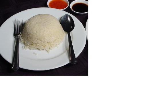 rice - steamed rice