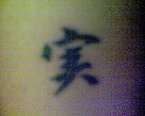 Inside 4arm tatt - One of the 4 tattoos I have