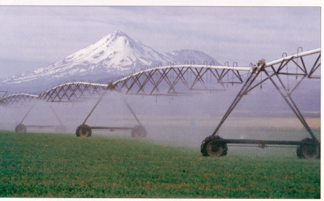 Center Pivot - Center Pivot System Irrigation