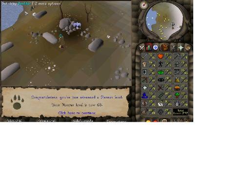 65 hunter - i was pleased to get 65 hunter :)