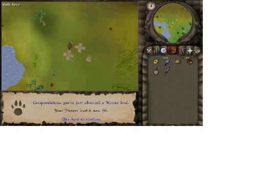 66 hunter - i got 66 hunter about 1 hour after getting 65, chinchompas are quite fast lvling if there's no one else about :)