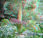3d - 3D photo.Its nice.