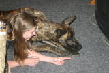 Scary! - This picture just doesn't show how funny this situation was! Hudson started freaking out and barking wildly at the footstool. When I bent down to look I saw that it was a ROBE BELT under there that had him so scared! ROFL! What a big chicken! I tried showing him that it was nothing but he wasn't getting near that scary thing! I had to pull it out and show him before he calmed back down!