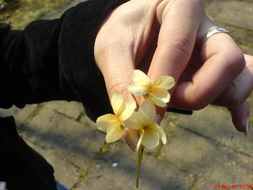 beautyful - very beautyful