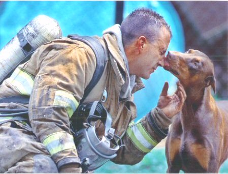 Dobie thanks her savior - after this fireman saved the doberman, she thanked him profusely