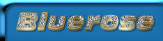 Blinged Out Name - Was messing around with my graphics program today and made this. It's suppose to look like it has diamonds in it. But I'll let you be the judge of that.