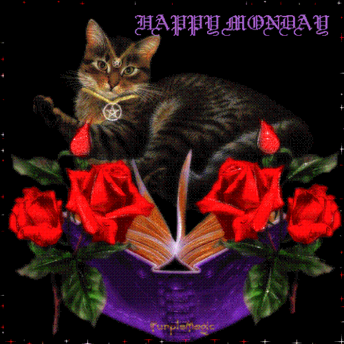 One of my favorites - Everyone knows by now that I love cats.