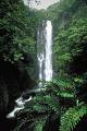 Waterfall - Beautiful waterfalls on the island of Maui