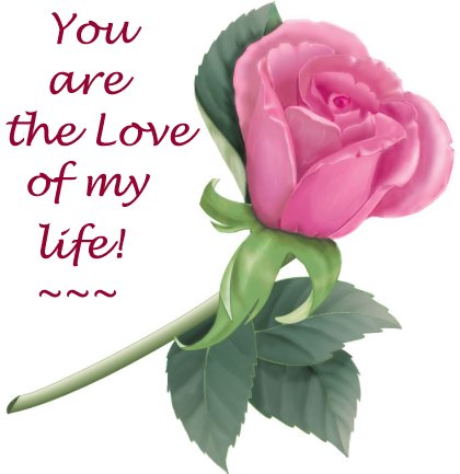 my - this is my favirot photo