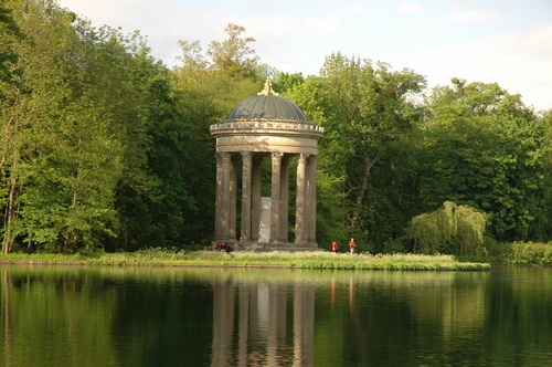 forest - munchen