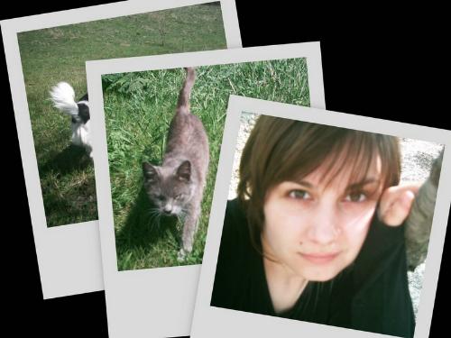 playing - kitty, soso and me
