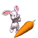 Carrot can bring out the best of bunny! - Bunny seems to be happiest when she has her carrot. It helps her to keep going and make plans for her life.