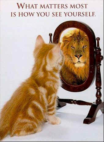 positive attitude - attitude is the main thing which is most important thing for success and +ve growth in life we shoudn't think bad about ourselves means negative instead we must alway look on +ve side of life and should expect good future