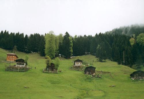 One of the most beautiful cities of Turkey.. - Rize is the city which is very greeny and rainy..Full of forest.