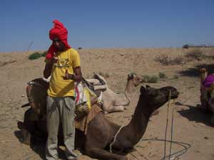 man and camel - Man and camel in Rajasthan, India.