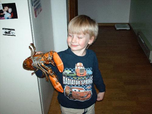 jd holding a live lobster - jd was playing with his food....but this time his food was able to play back..lol. yes..he did eat him later on that day. how sad!!