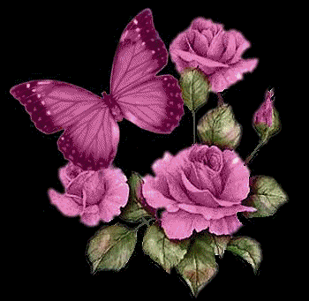 Butterfly&flowers - Butterfly and Flowers. Butterfly&flowers - Butterfly and Flowers.