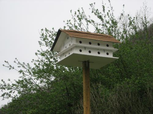 Purple Martin House - My husband made this for me at Christmas. I have wanted one since we moved into our new home. Now I have one and it is attreacting birds already. I am just so excited. To find out more about Purple Martins check out this site. http://purplemartin.org/main/mgt.html