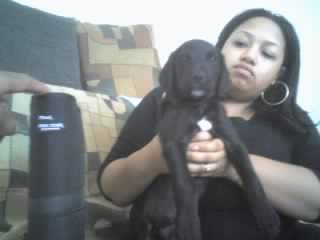 Mia and Deuce - This is a picture of my wife and my dog Deuce.