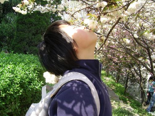 i love those flowers! -  I love spring!I love those flowers!