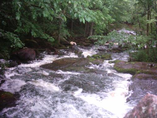 river rapids - Keller's Lake rapids in Marion,WI
