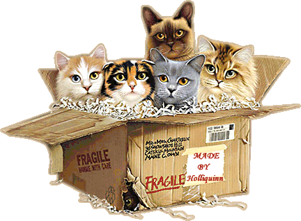cats - I love cats!