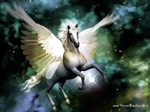 flying horse - beautiful flying horse