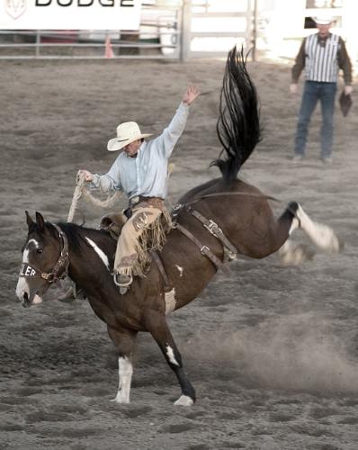 Bucking Bronco - From the county fair, the rodeo with the bronco riding