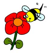 Honey Bee - bee on a flower