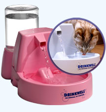 Drinking fountain for pets - This is one of the drinking fountains for a pet