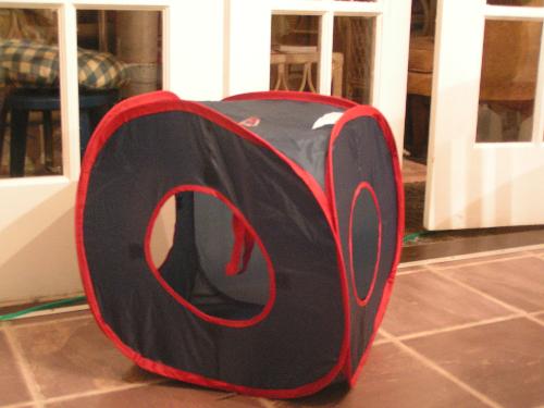 Cat play house - This is a spring-folded play house I bought for my cats. I spent $5.00 on it. So far they have slept in it, scooted it around the floor and tried to fold it back up! Everytime I get the camera out they stop playing with it!