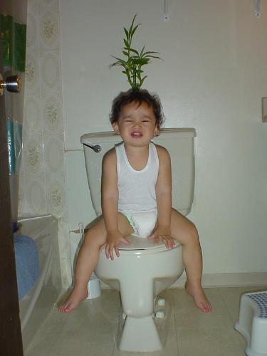 tomi toilet - tomi in the toilet