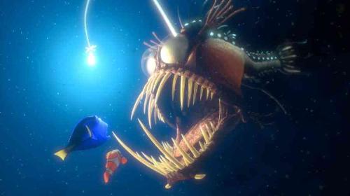 finding nemo - finding nemo images