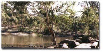 A National Park - Belair National Park is one of the most popular parks for visiting.