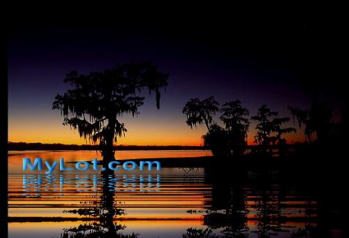 Mtlot -  THis is a simple nature photo wuth lettering of mylot.com