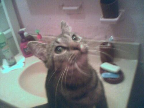 denali - she's cute:)