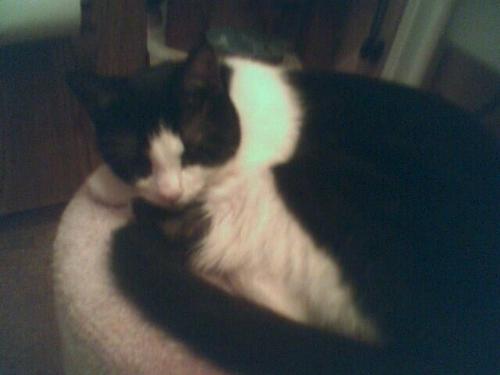 Panda Mae - This is my bestfriend, I love her!