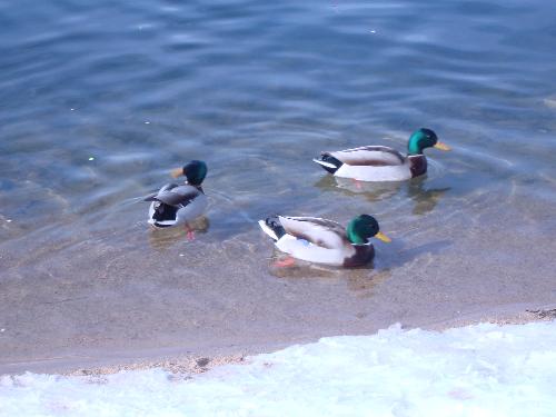beautiful nature - I love nature and plus point is i love photography as well so this is the picture i took.