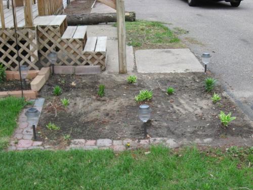 front Flower Bed - another area Im proud of